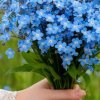 Иконка канала Светлана Ода
