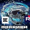 Иконка канала Evil Пряники 220k
