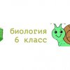Иконка канала биология  6 класс