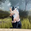 Иконка канала ﹤~{🪶🌳Birch Paw  WCUE🐈⬛🪽}~﹥