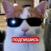 Иконка канала KOLIKSI