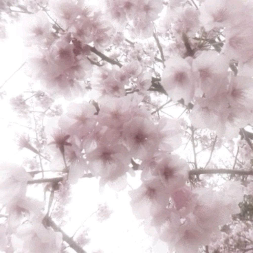 Иконка канала 🌸Тишка.