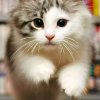 Иконка канала Настя Скай