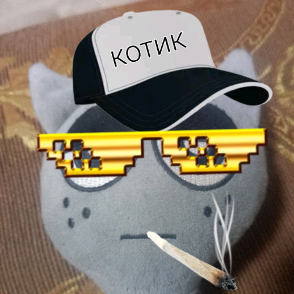 Иконка канала Крутой котик 😺😎