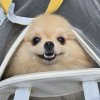 Иконка канала Matras1K