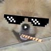 Иконка канала IGROBOY