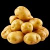 Иконка канала Прошка Картошка🥔🥚