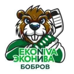 Иконка канала Хоккейный клуб "ЭкоНива - Бобров"