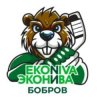 Иконка канала Хоккейный клуб "ЭкоНива - Бобров"