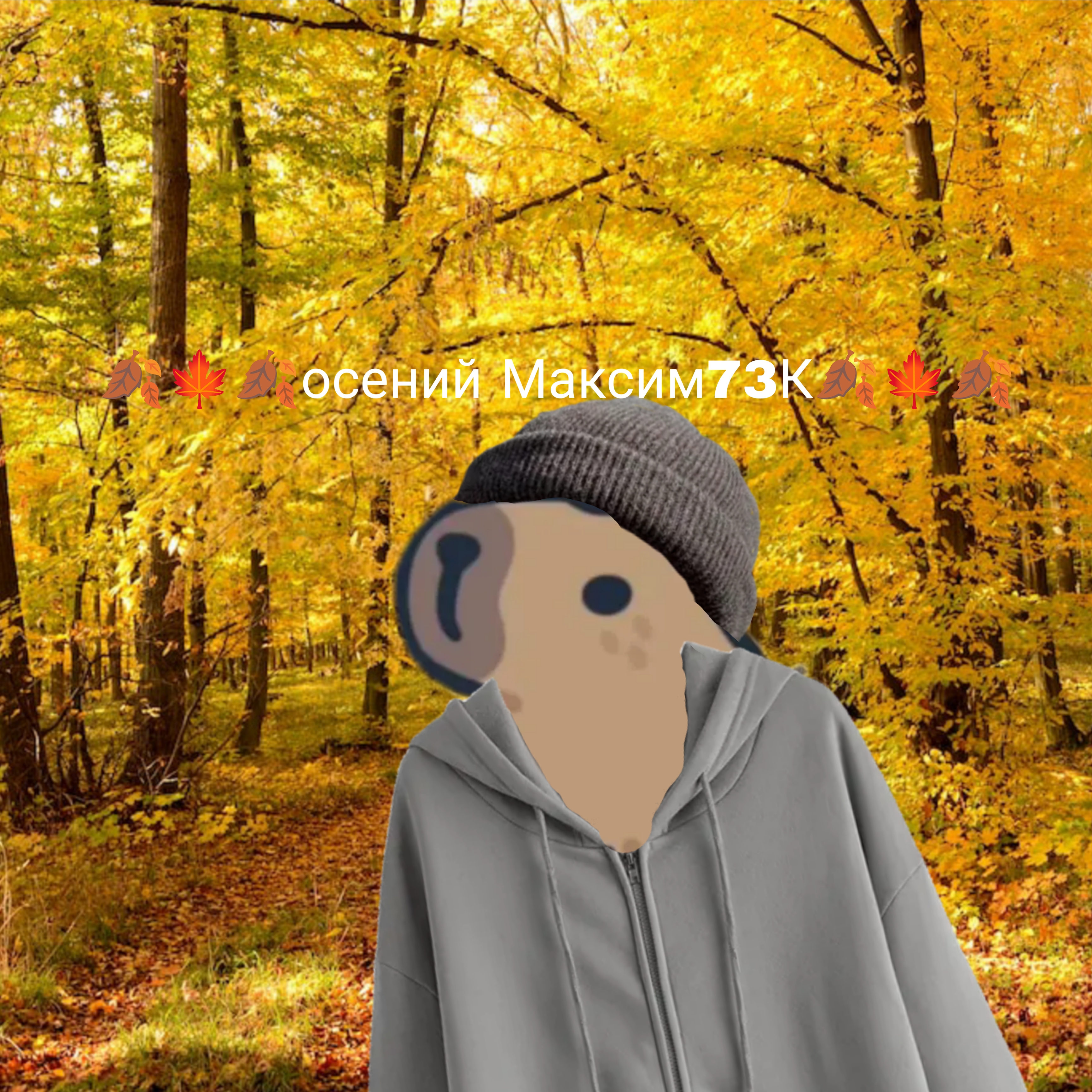 Иконка канала 🍂🍁🍂Осенний Максим73К🍂🍁🍂