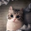 Иконка канала Охотник За Мистиками ☑☑☑