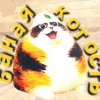 Иконка канала Котость(баная)
