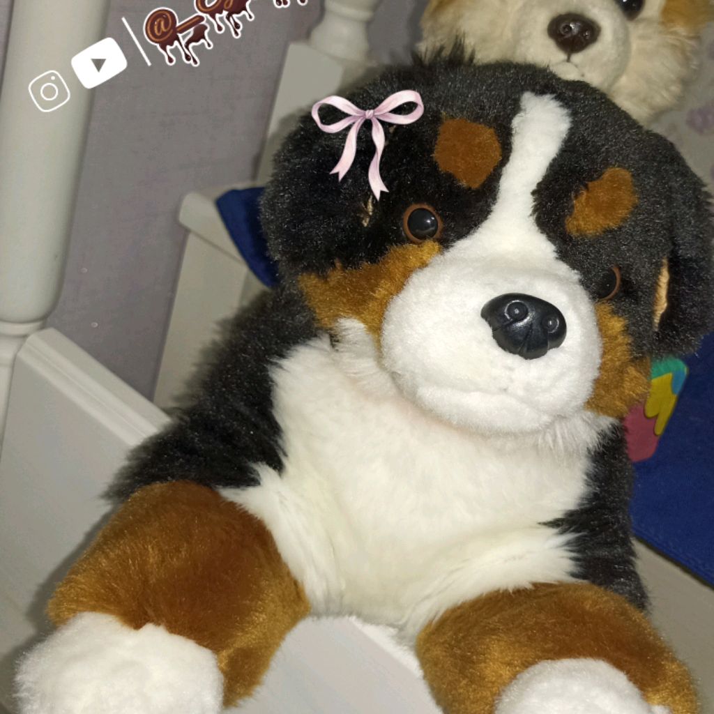 Иконка канала SyMpAtHeTic_PeTs🍄🐾🫟🌌