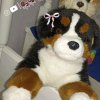 Иконка канала SyMpAtHeTic_PeTs🍄🐾🫟🌌