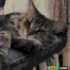 Иконка канала Супер Круто 23