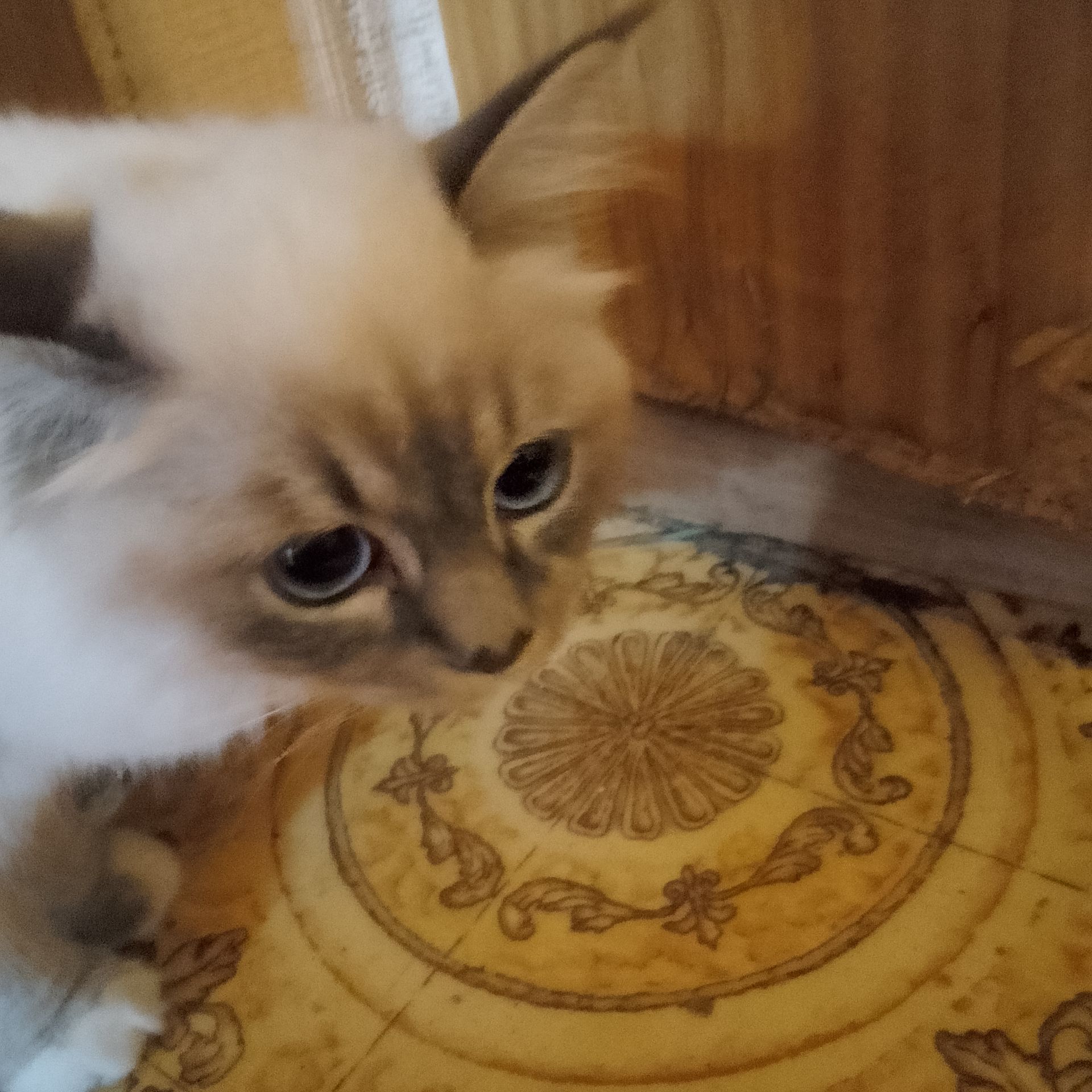 Аватар