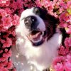Иконка канала channel81215583