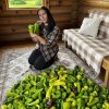 Иконка канала Урожайный уголок.