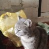 Иконка канала Kotya-2407