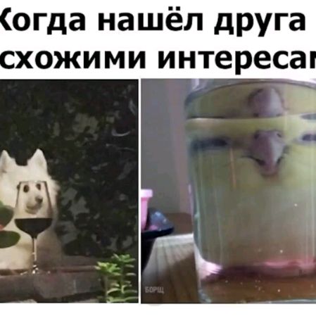 Иконка канала Darker