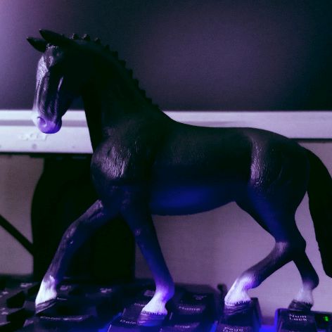 Иконка канала Horses шляйх🏆