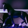 Иконка канала Horses шляйх🏆