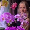Иконка канала Орхидея Лайф СПб