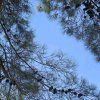 Иконка канала Андреевы (Музыка и Туризм)