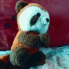 Иконка канала Котик мяу мяу
