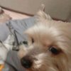 Иконка канала Мята