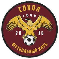 Иконка канала WFC Sokol