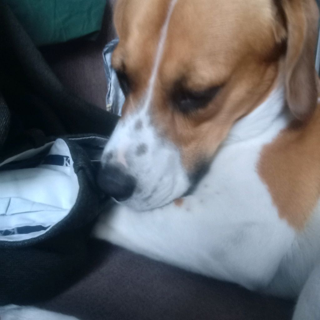 Иконка канала брут