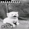 Иконка канала Супер_даня228
