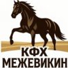 Иконка канала Лошади Межевикина. Ростов-на-Дону