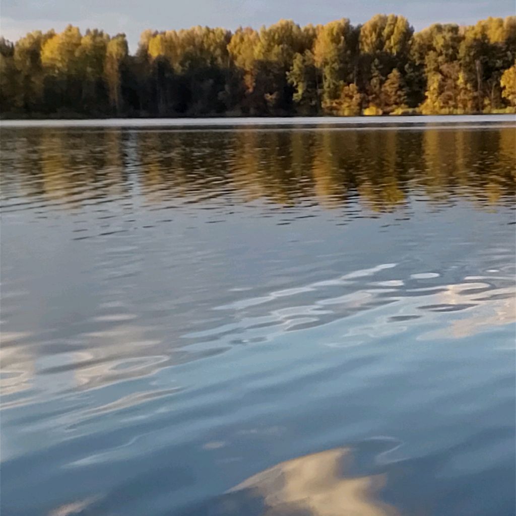 Иконка канала Деревенский очаг