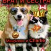 Иконка канала Машуликс И Charlie👑🔥🤟😎
