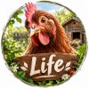 Иконка канала Лариса Life❤️🐓🥚