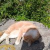 Иконка канала Игры В Роблокс