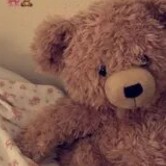 Иконка канала Мишка_Исторрр 🐻