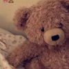 Иконка канала Мишка_Исторрр 🐻