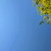 Иконка канала Sampgame