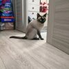 Иконка канала Просто Иван
