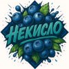 Иконка канала Некисло | Голубика