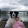 Иконка канала 🐾luna Essa🐾