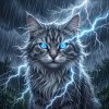 Иконка канала ★КВД★ШТОРМОВАЯ★ЗВЕЗДА★ КВ★