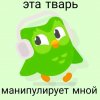 Иконка канала mp.COM You Are An IDIOT Hahahahahahhh