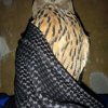 Иконка канала Миша Лысик.Ру