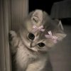 Иконка канала Стешка  Пельмешка