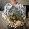 Иконка канала Belolipa Florarium