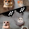 Иконка канала 🐱ПРАНКЕР 3000🐱